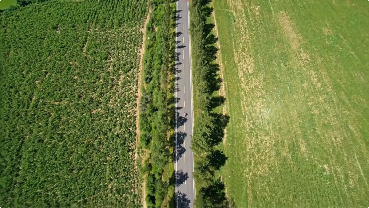 Montage vidéo par IA pour clips sportifs en POV avec le mouvement Rover